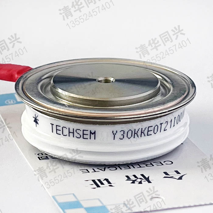 Y30KKE0T21I00066 TECHSEM湖北臺(tái)基 銷售電話：13552457401