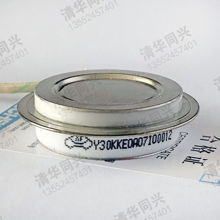 Y30KKE0A07I00012 TECHSEM湖北臺(tái)基 銷(xiāo)售電話(huà)：13552457401