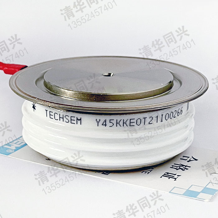 Y45KKE0T21I00266 TECHSEM湖北臺(tái)基 銷售電話：13552457401
